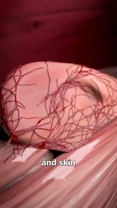 Ear reconstruction lmao