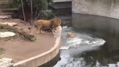 Always watch your step