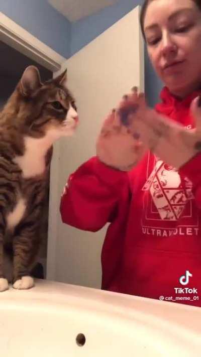 Cat wants some face cream too