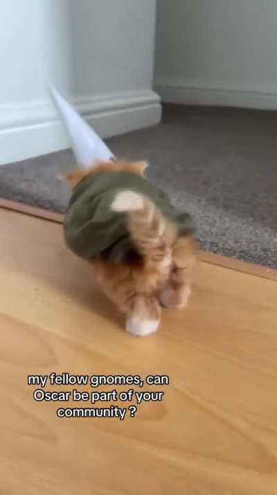 Oscar is learning the ways of the gnome