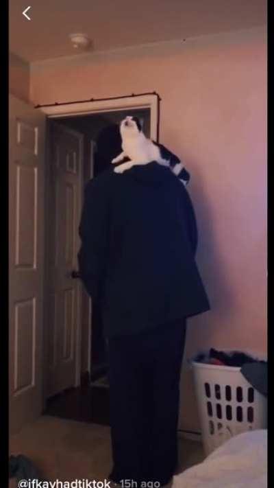 Teamwork gets the job done