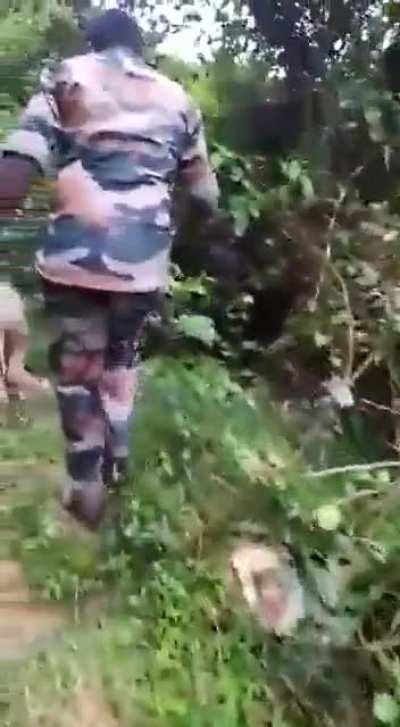 Tamil Nadu(India) Foresters rescued & united a baby elephant with the herd in Mudumalai. The baby elephant faithfully walks behind the foresters.. 