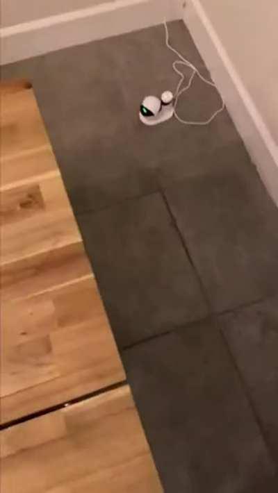 brothers is there any chance you know her name?