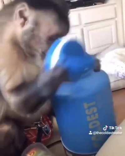 What do you mean it doesn't come with water?