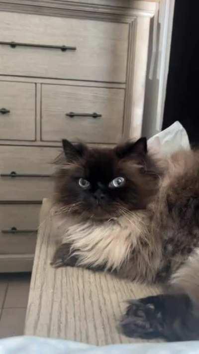 unexpected Needle at the checkout