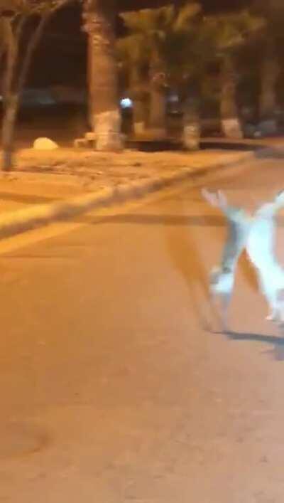 How some of y’all be looking