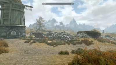 [Skyrim 10yr edition] I think he was fast travelling..