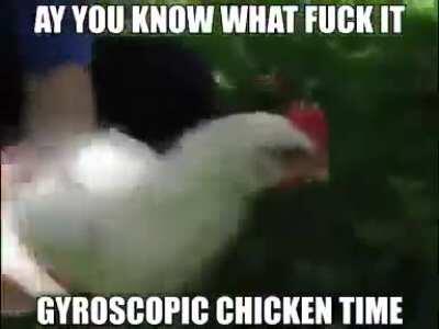 Pollo giroscopio