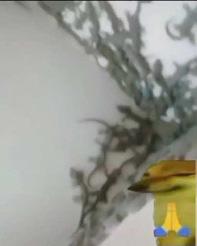 Trying to use toilet in Chitwan be like