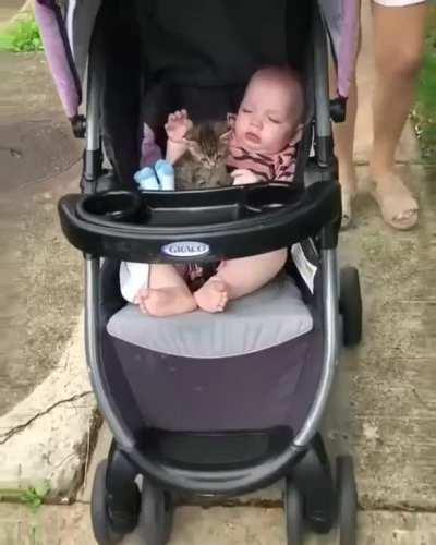 This made my day & night as well