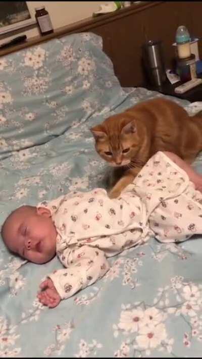 The best babysitter of the year. :)