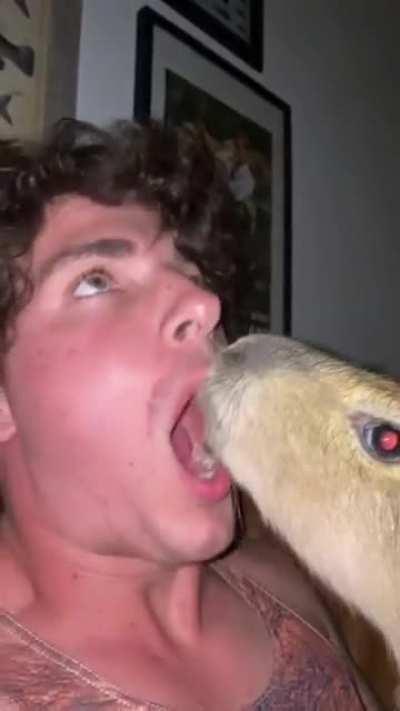 Weed bbq bacon burger is real