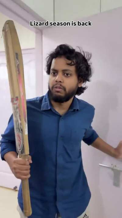 Lizard season is back!