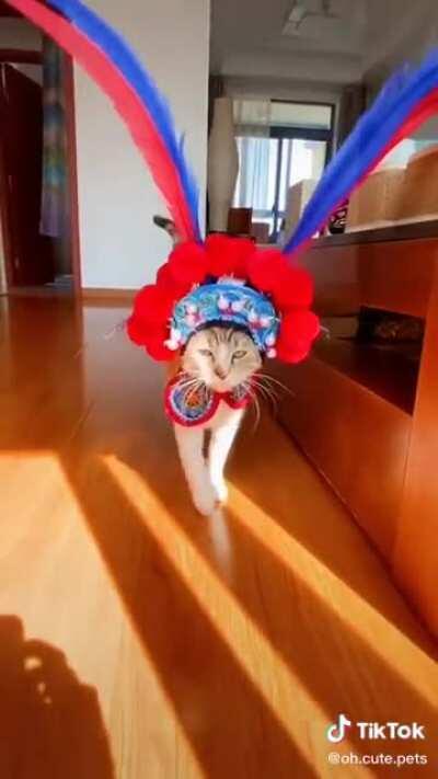 America's next top model