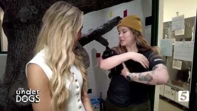 The Underdogs, Newschannel 5, Aired Nov. 3, 2025