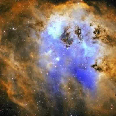 IC 410 - Journey to the Tadpoles