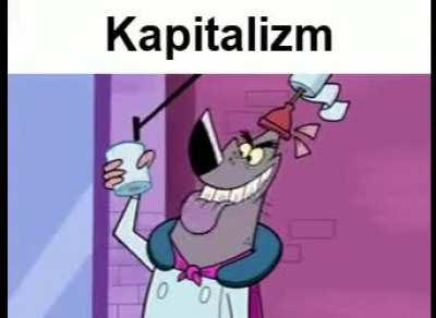 ST*NY ZJE*NOCZONE 🤢