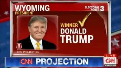 Expert opinion makers die inside