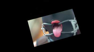 Properly domesticated slave