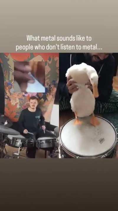 Animals just doing their sounds