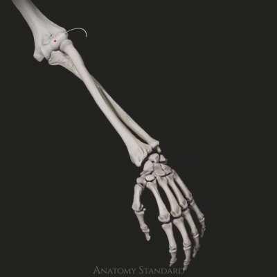 My bones  when I rotate my arm.