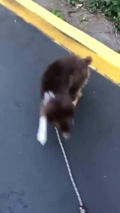 Куда блядь!!!