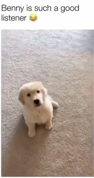 Benny is such a good listener