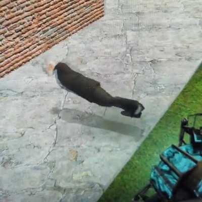 he literally dropped on the deck. and proceeded to flop like a fish