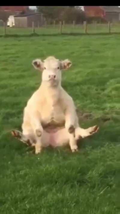 Just when i thought i have seen everything on the internet i see this