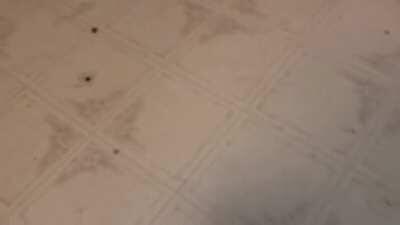 She's got a chronic case of the wiggles