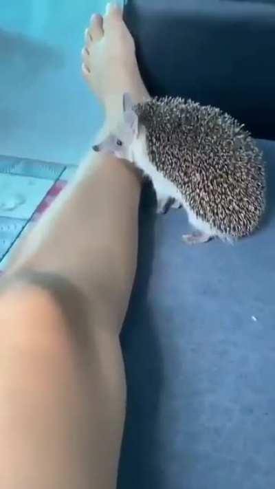 wow it hurts so much