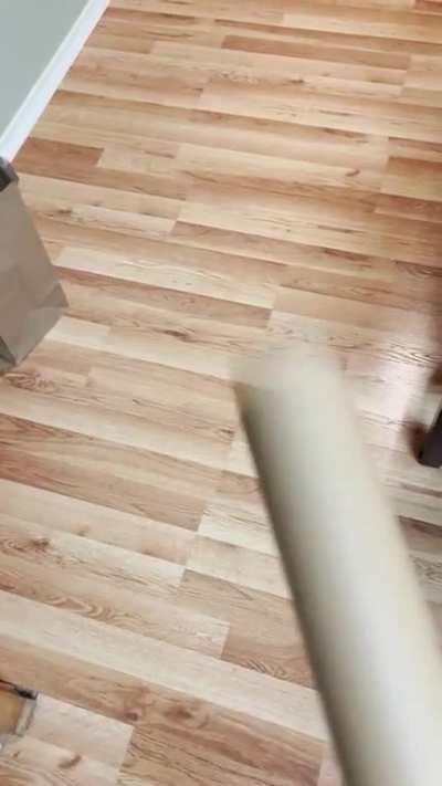 Found this dagger today…how’s my method?