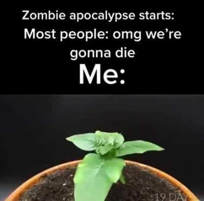 It’s my time to shine