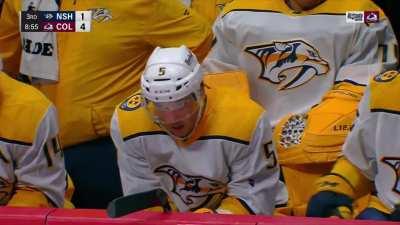 Avs fans singing Blink 182