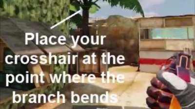 Firing range Nade spot - Jungle room