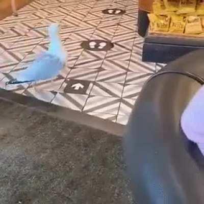 Отработал по плану.