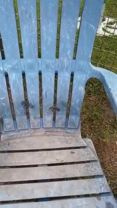 here take some eyebleach