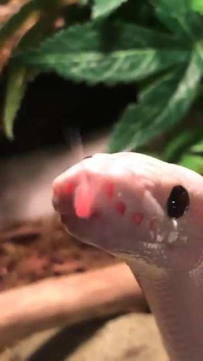 pov: he loves you <3