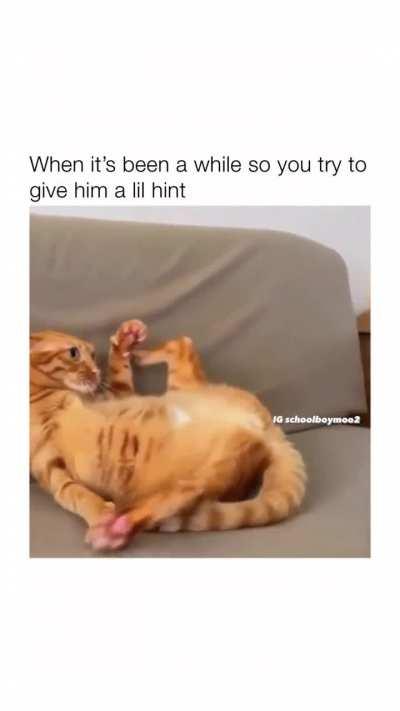 gay😽irl