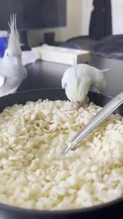 I can&rsquo;t eat in peace anymore 😒