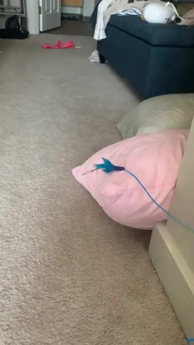 If you blink you’ll miss it