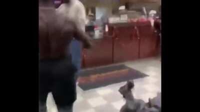 hezbollah cat 😂😂💥