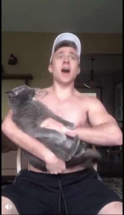 The cat totally dies on the inside