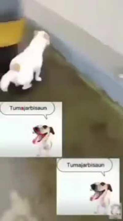 wordington wenomechainsama