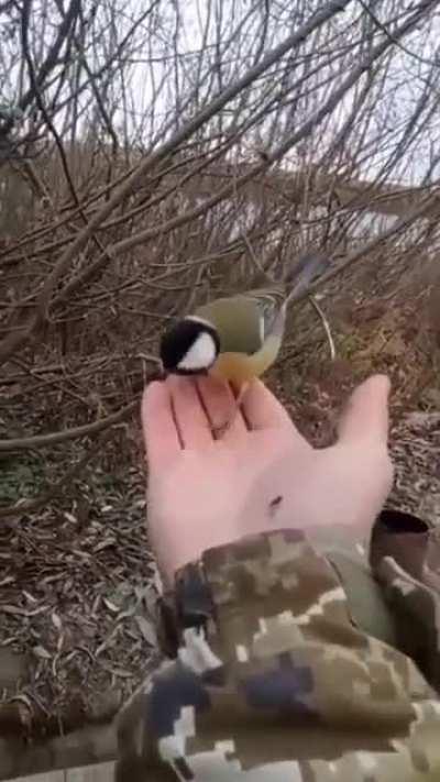 Ukraine's Airforce has a new recruit