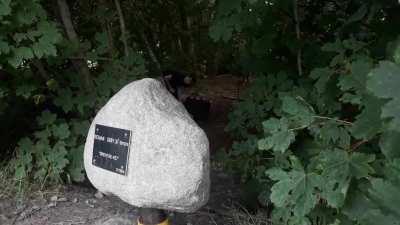 Awesome cache in the Netherlands!