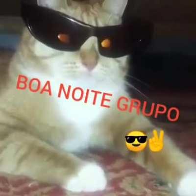 Boa noite!
