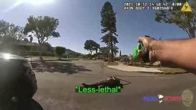 Man with a sword gets tased.