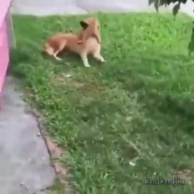 Are you looking at me