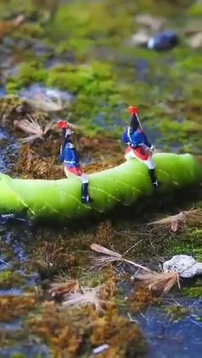 catch me on my whipe